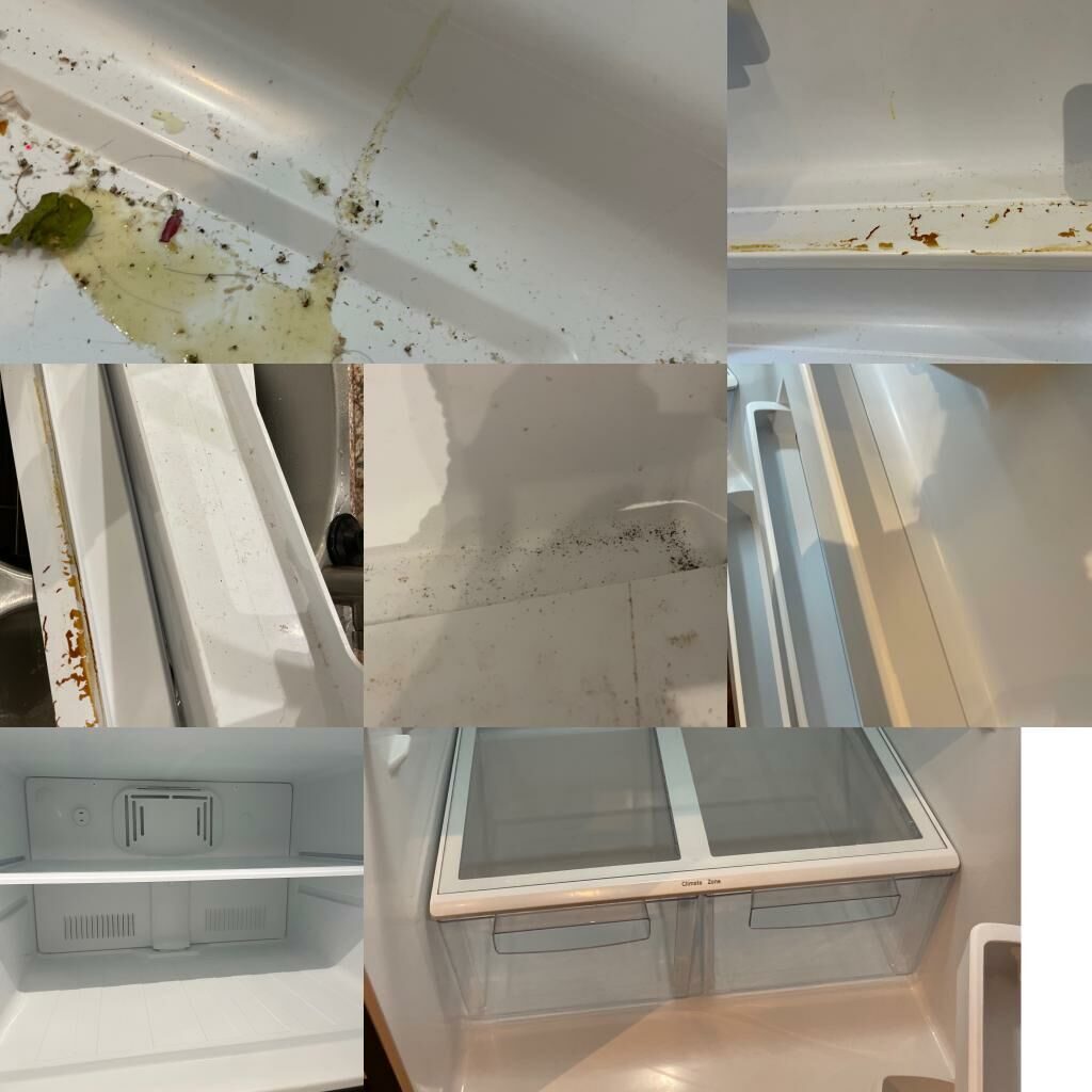 whatsapp_image_2023-09-11_at_095351_6