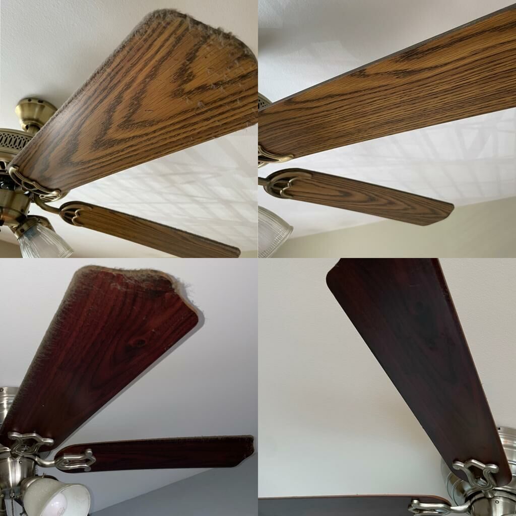 whatsapp_image_2023-09-11_at_095351_1